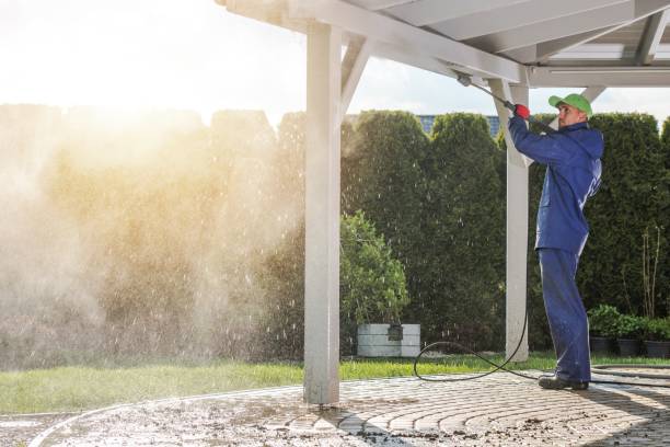 Best Pre-Holiday Cleaning  in Chisago City, MN